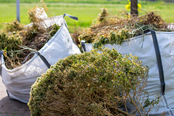Best Construction Debris Removal  in Roosevelt, NY